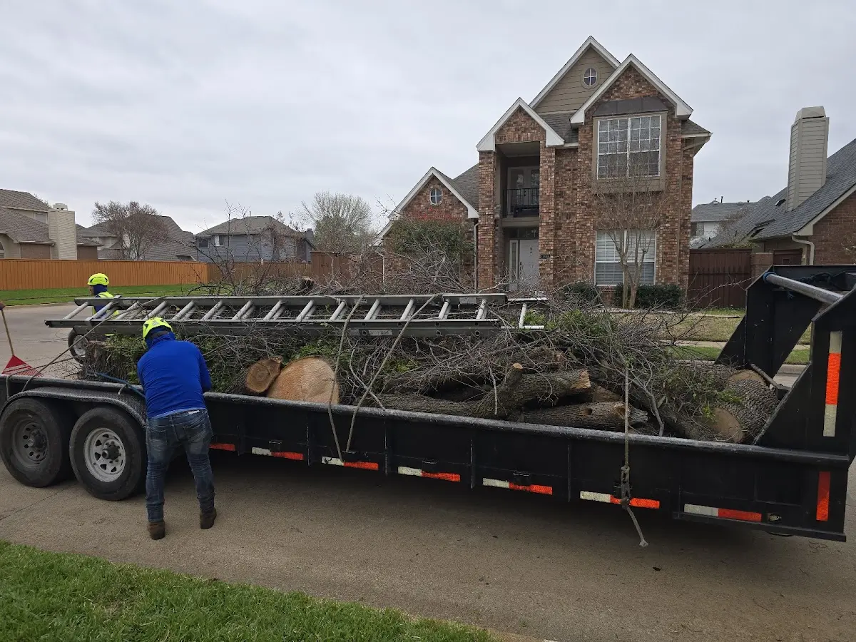 Expert Tree Fertilization with proper safety equipment in Winston